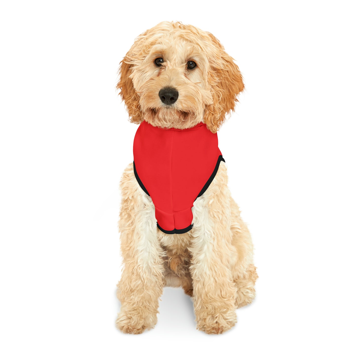 Passenger Princess Pet Hoodie