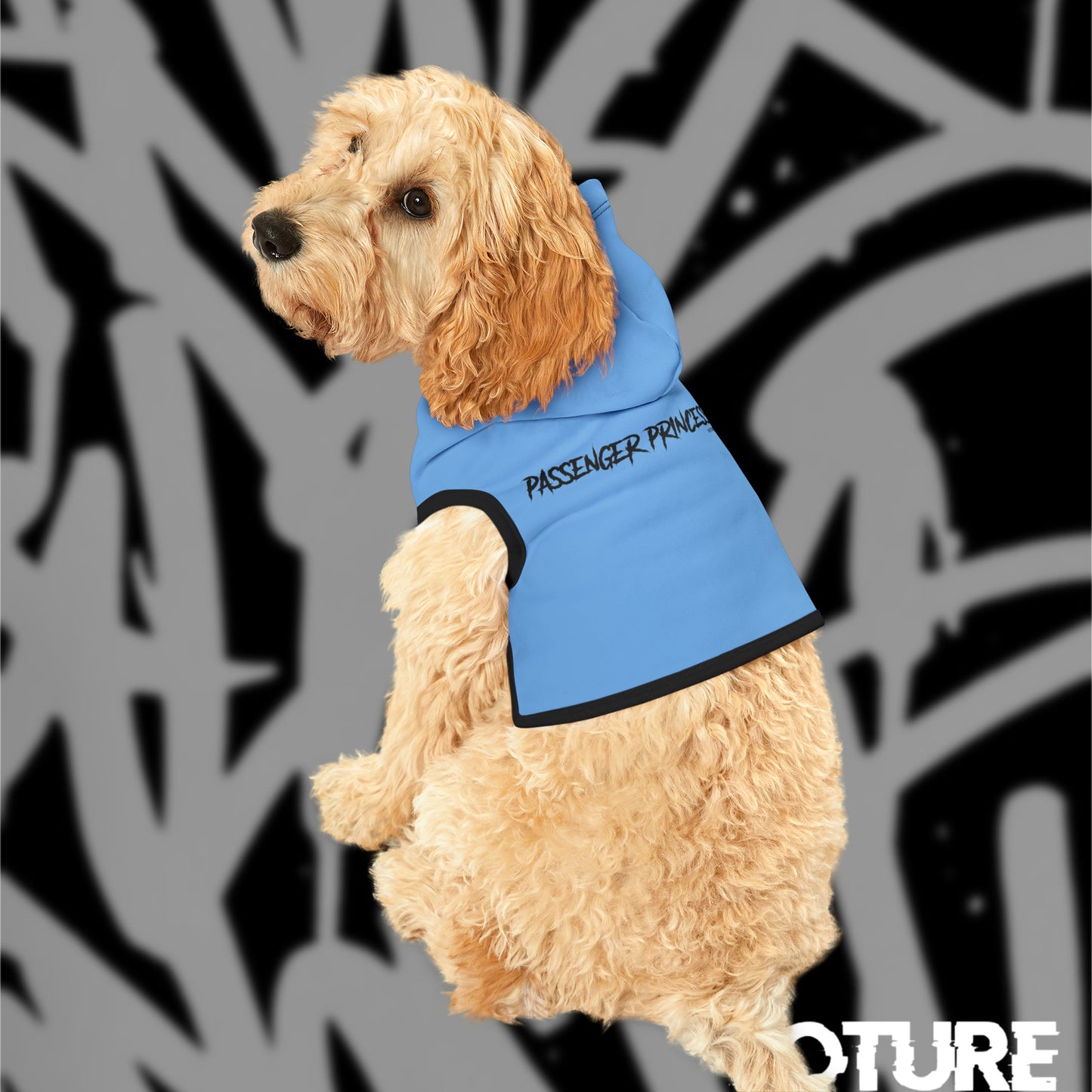 Passenger Princess Pet Hoodie