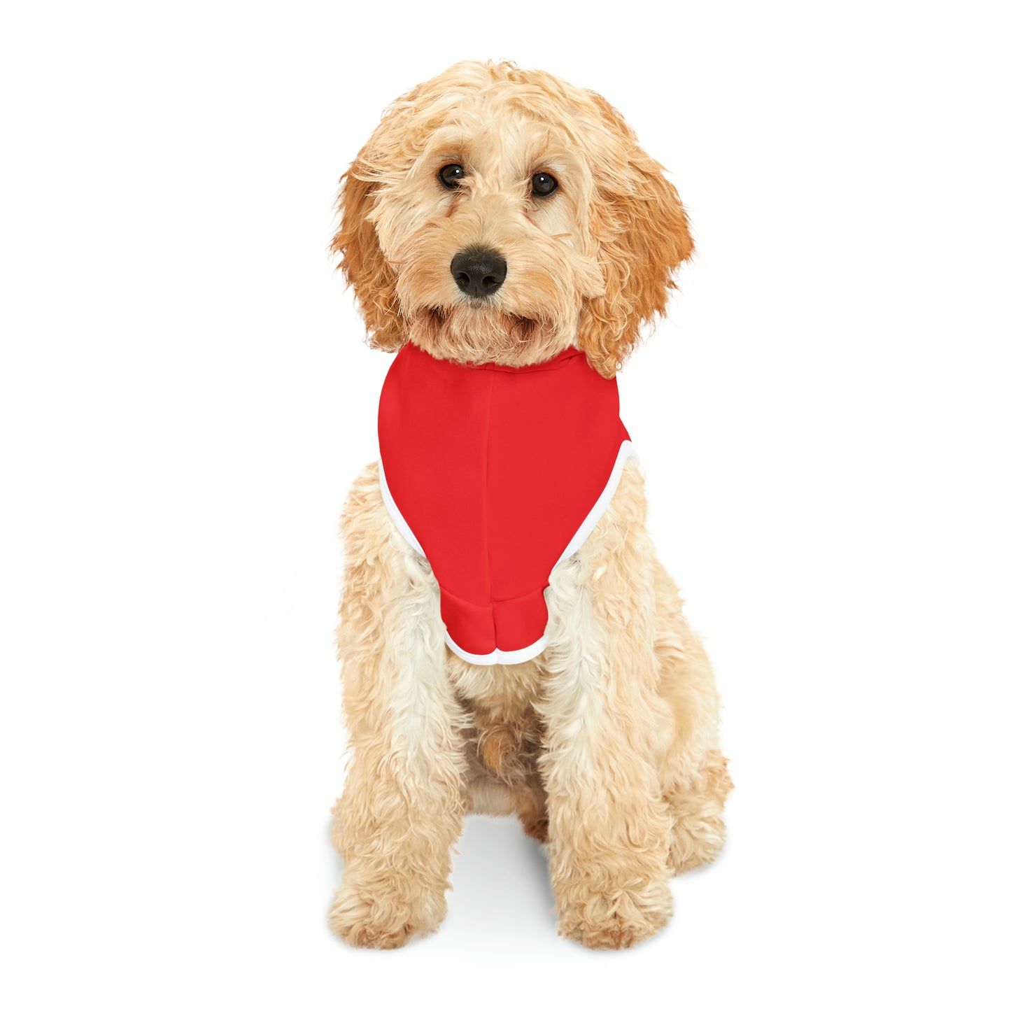 Passenger Princess Pet Hoodie