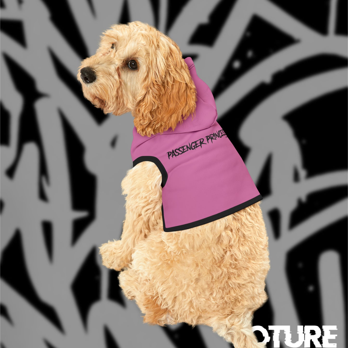 Passenger Princess Pet Hoodie