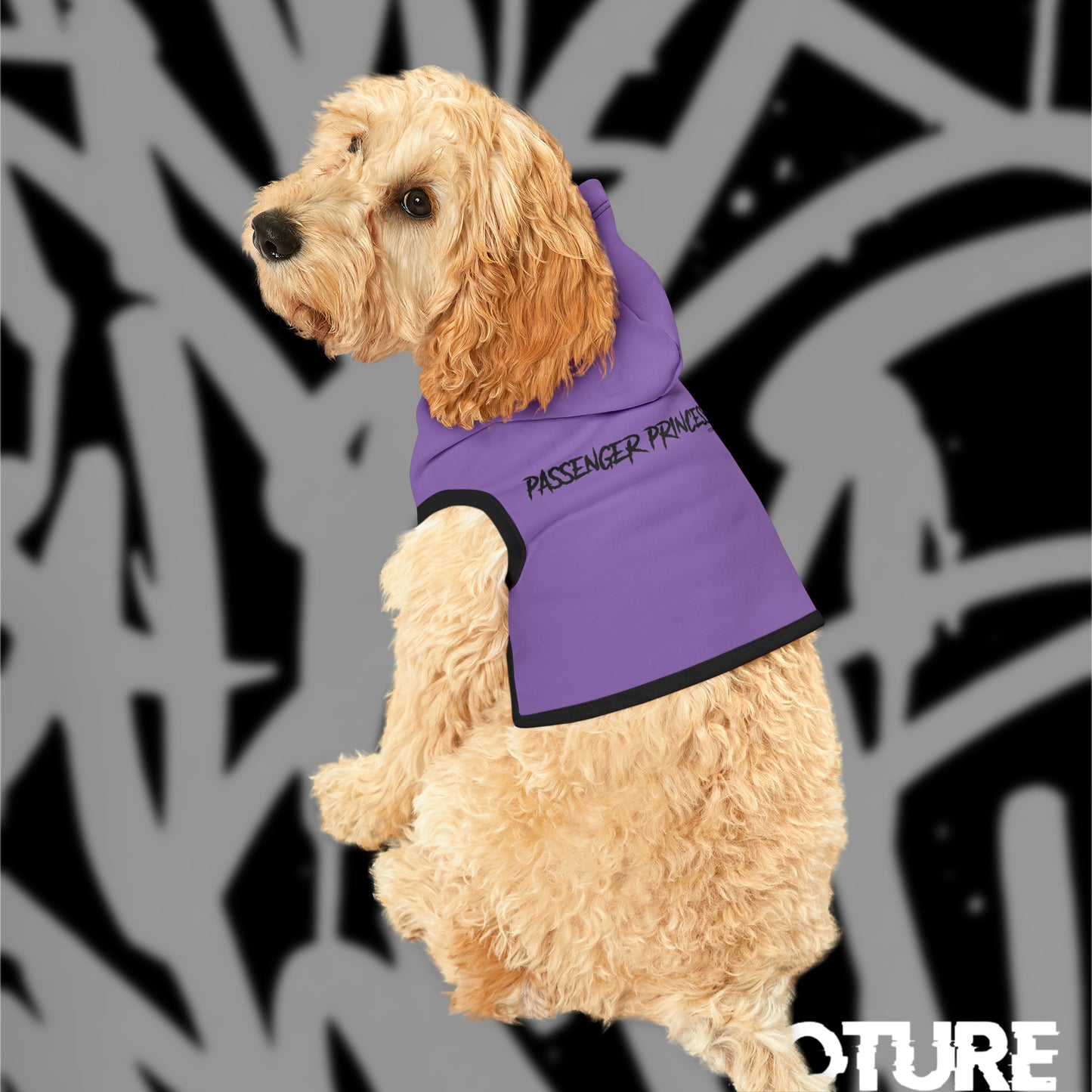 Passenger Princess Pet Hoodie