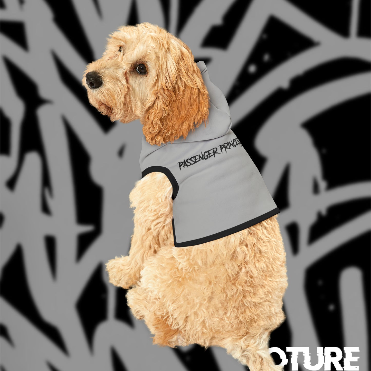 Passenger Princess Pet Hoodie