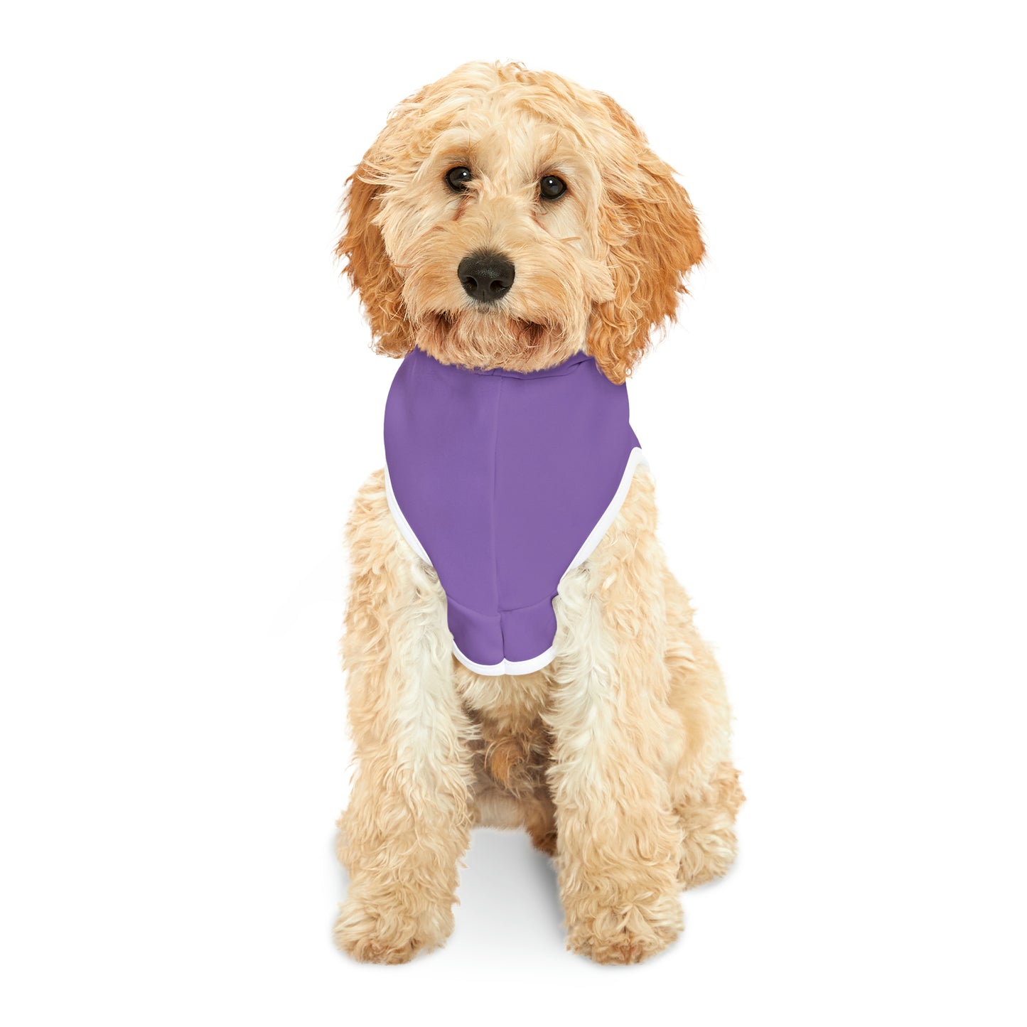 Passenger Princess Pet Hoodie