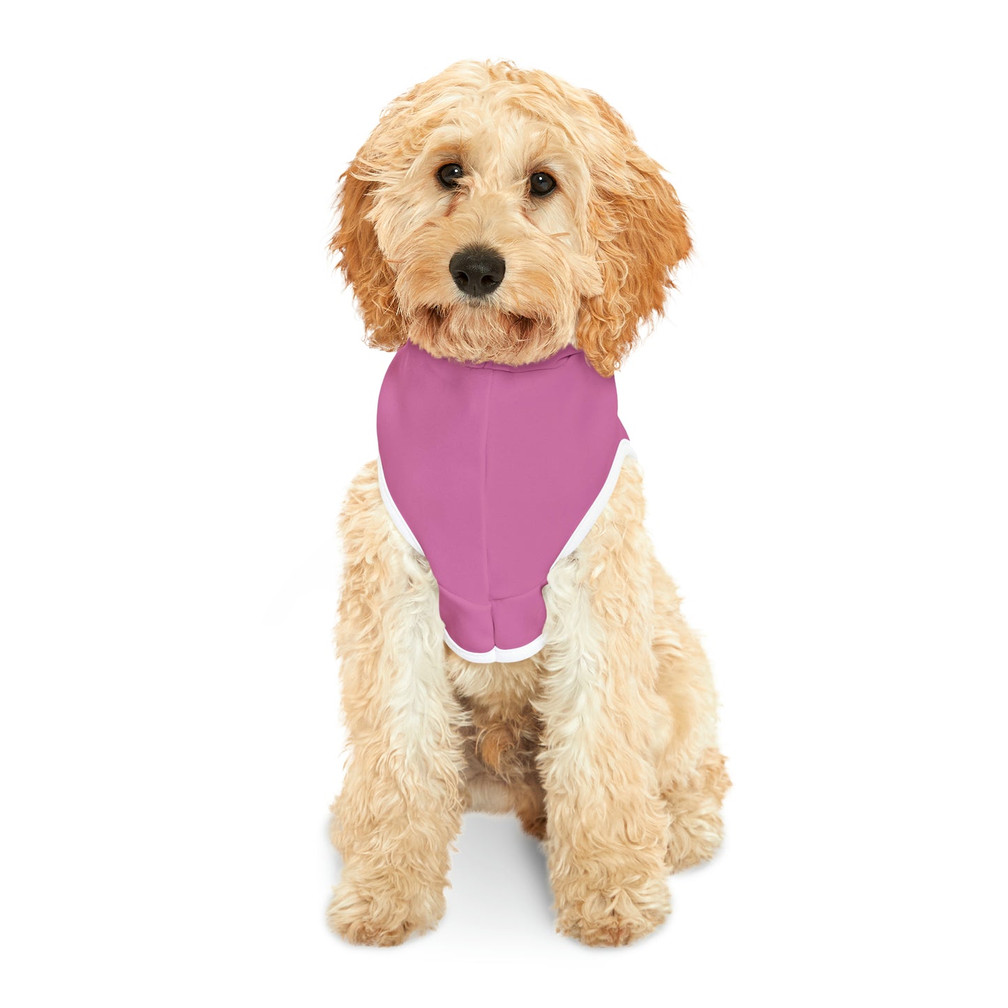 Passenger Princess Pet Hoodie
