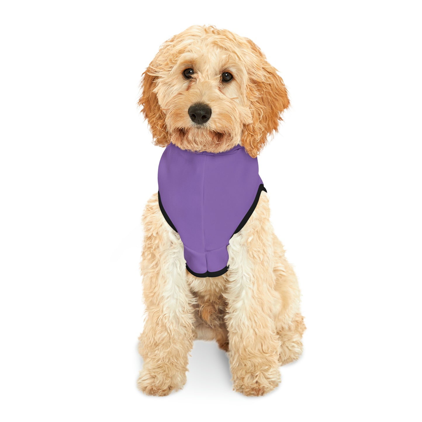 Passenger Princess Pet Hoodie