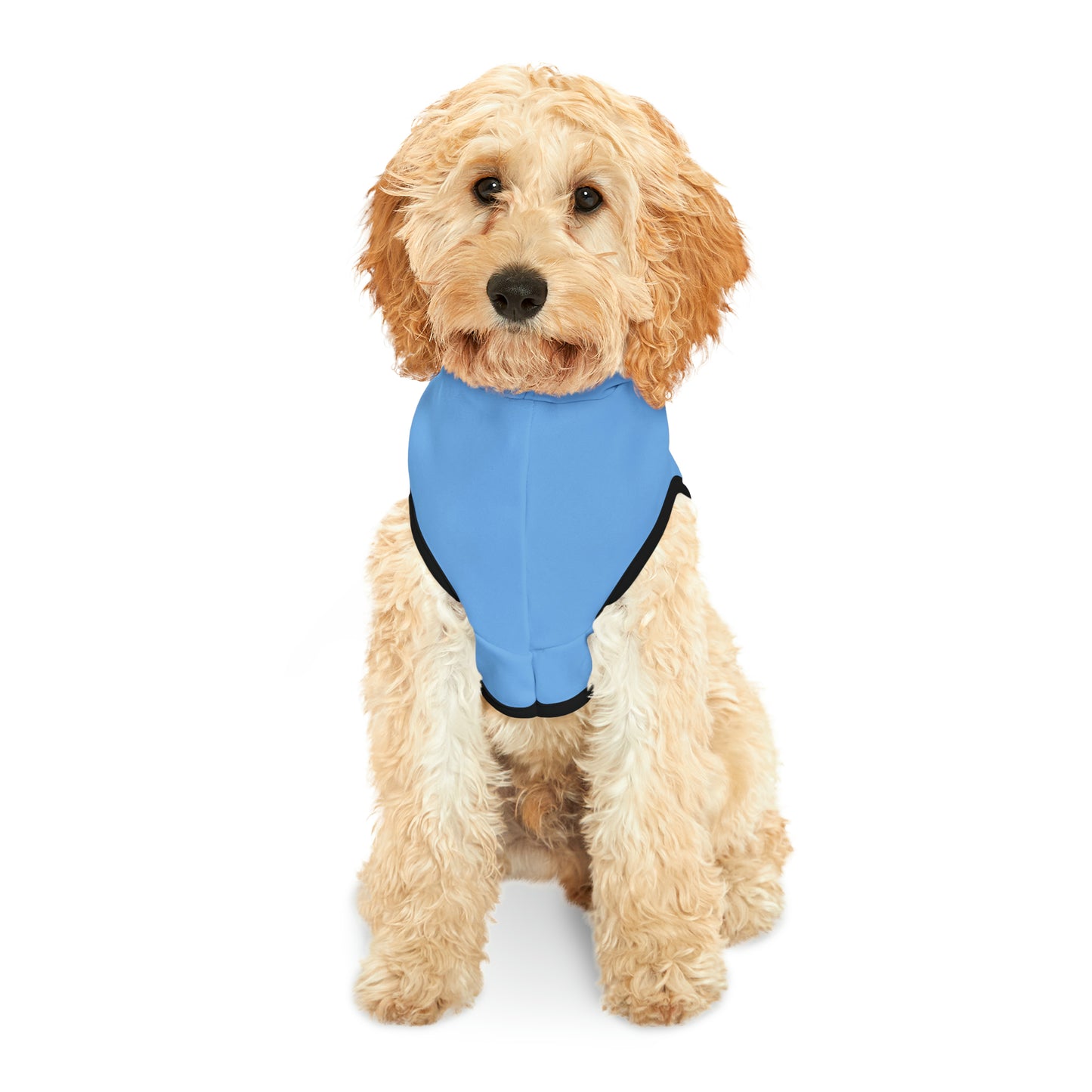 Passenger Princess Pet Hoodie