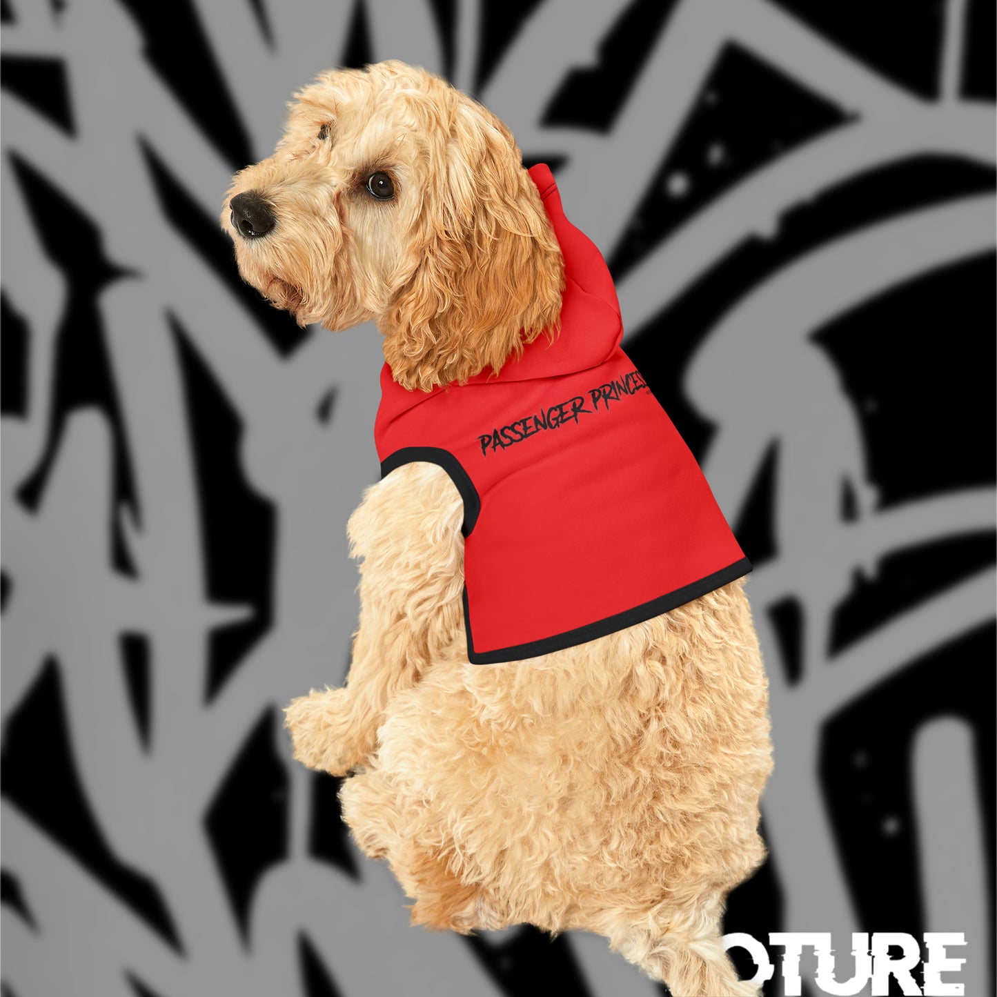 Passenger Princess Pet Hoodie