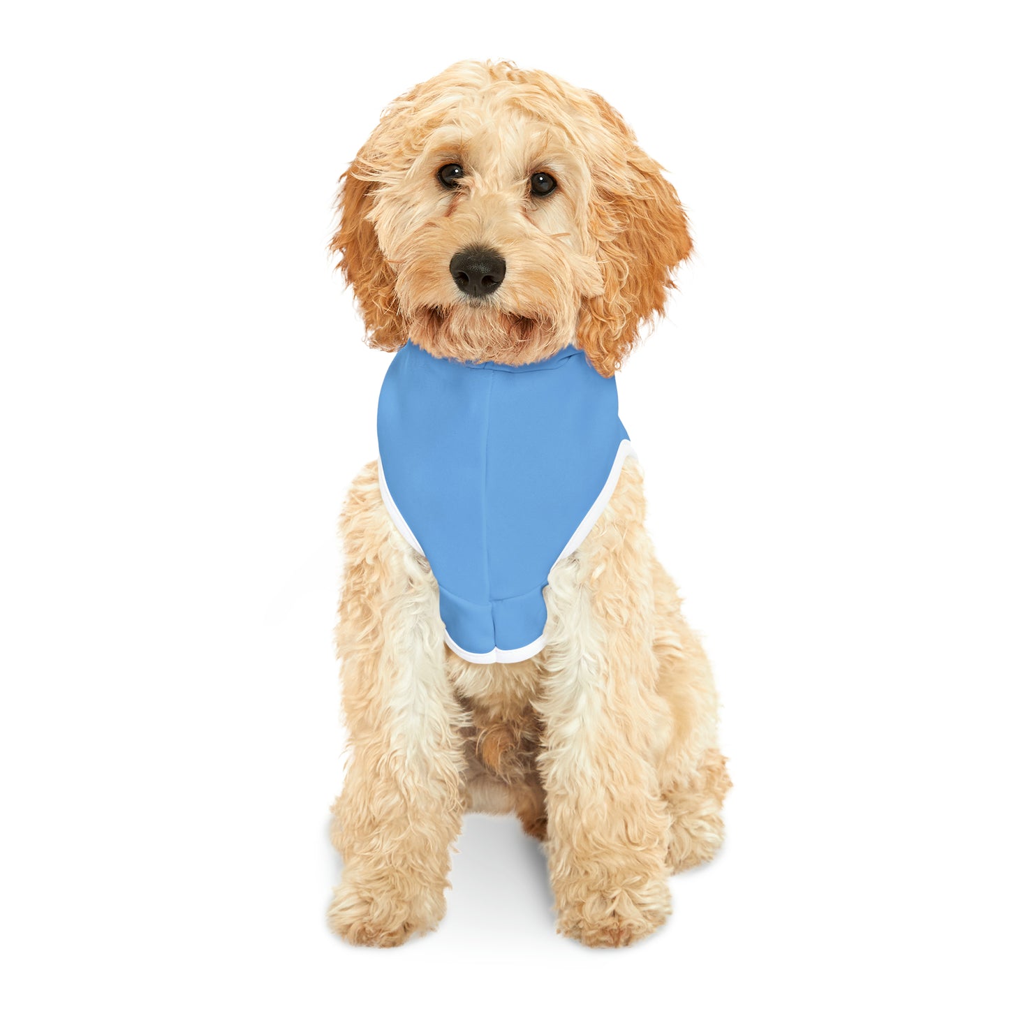 Passenger Princess Pet Hoodie