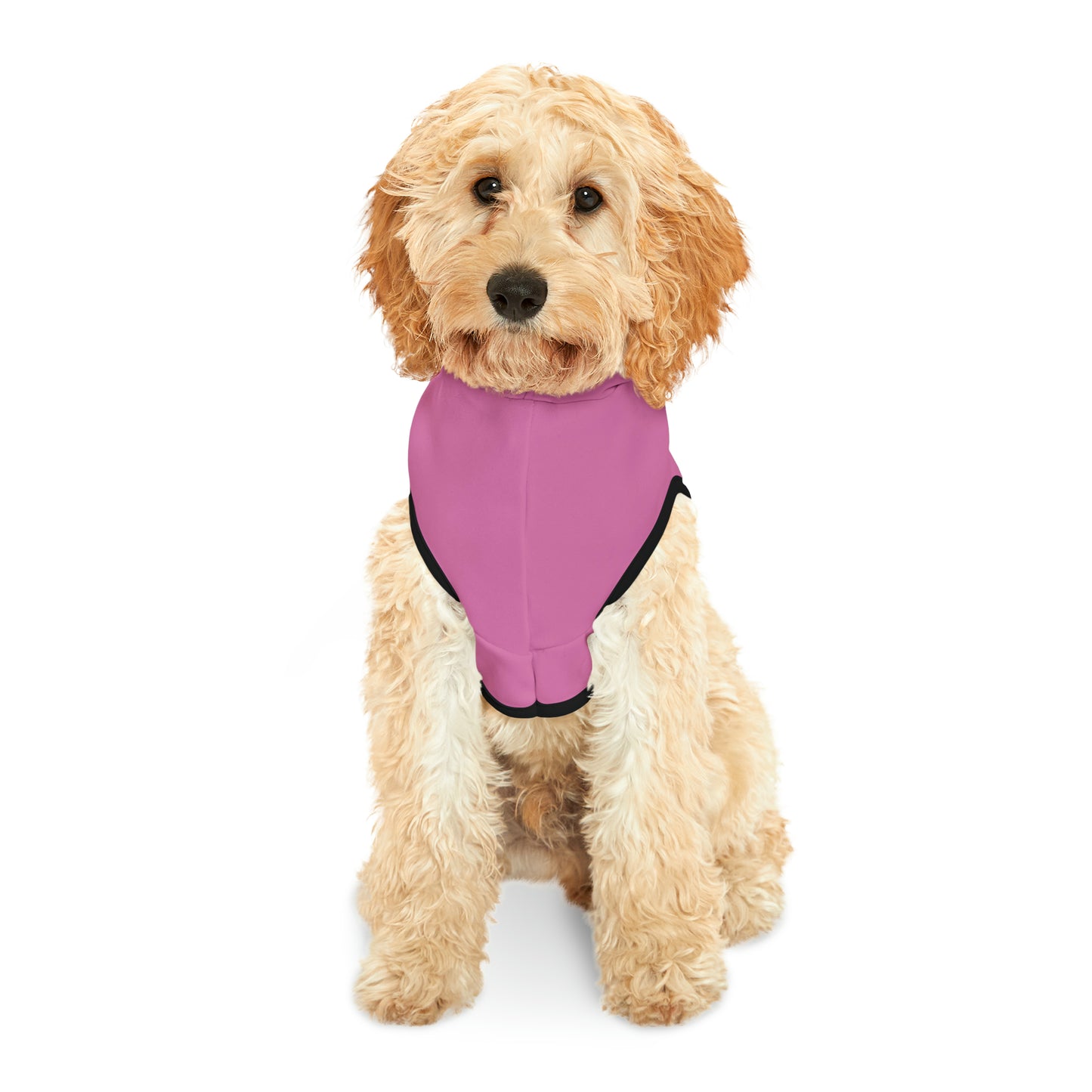 Passenger Princess Pet Hoodie